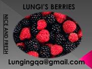 Lungi's_Berry_Farm