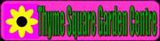 Thyme_Square_Centre